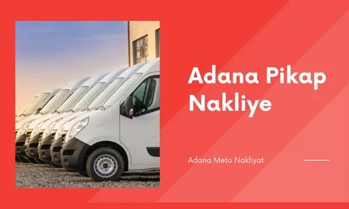 Pikap Kamyonet Nakliye